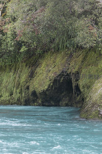 湍流激荡苔岩岸，绿林掩映水色清