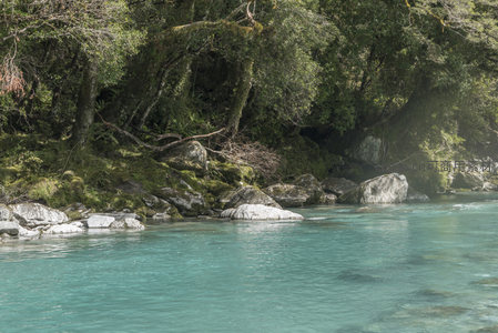 林荫石滩碧水清，自然野趣入画来