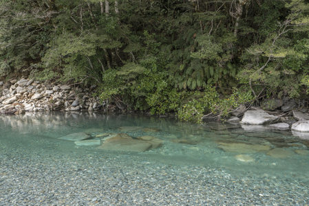 透明碧水映林影，河床石子历历在目