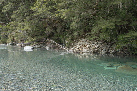 林间清泉石上流，水底砾石尽收眼底