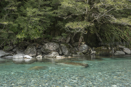 溪畔巨岩伴绿荫，水清如镜映苍翠