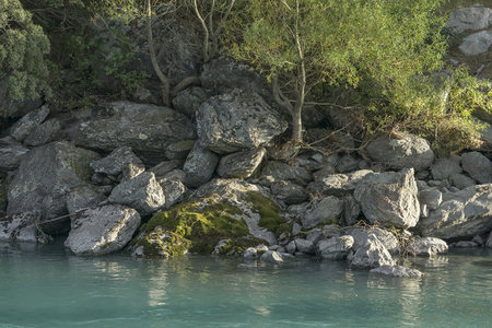 青苔覆盖的河岸岩石特写