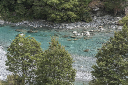 透明溪水见卵石，松林环抱景致幽