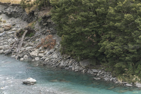 石滩流水绕密林，枯木静卧添野趣
