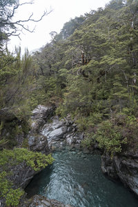 密林深处溪谷幽邃，流水潺潺鸟鸣相伴