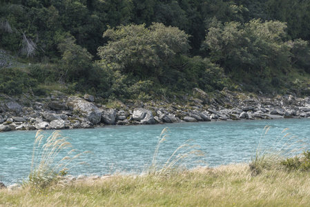 河岸岩石与随风摇曳的芦苇