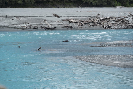 激流中的枯木与卵石河滩