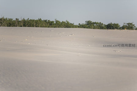 白沙丘延至绿林边缘