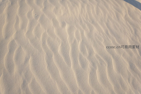 阳光下的沙纹如波浪般起伏流动