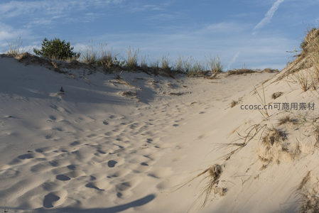 蓝天下的沙丘小径蜿蜒通向远方