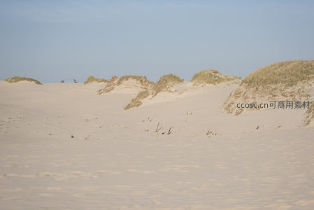 广阔沙丘连绵起伏如波浪