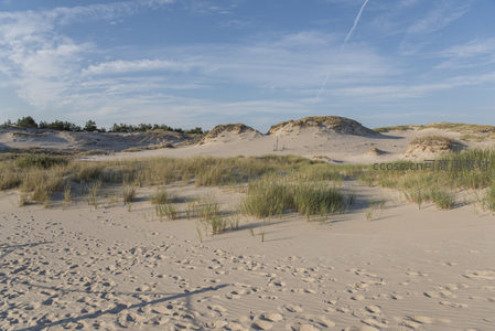 沙丘与草丛的宁静自然风光