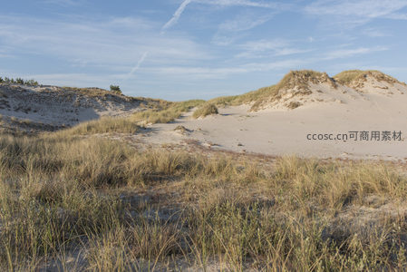 沙丘小径，通往天际的自然之路