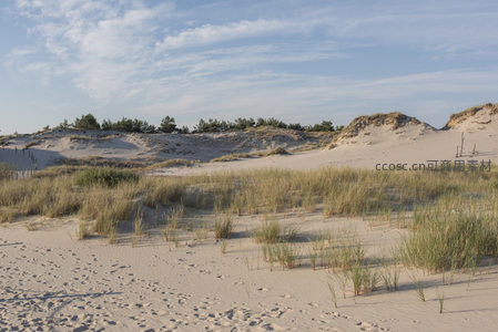 广袤沙丘草原在蓝天白云下延展