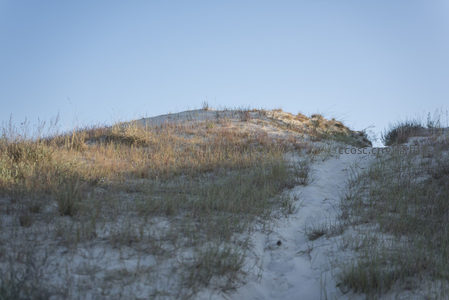 蜿蜒小径通向沙丘之巅的静谧路径