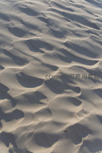 光影交错的沙丘表面呈现立体韵律