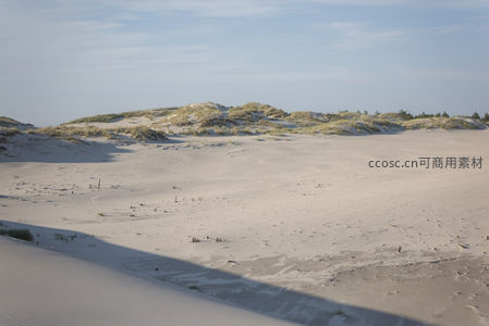 沙丘连绵起伏，绿草点缀其间