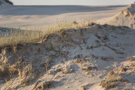 沙崖断面，草根裸露显沧桑