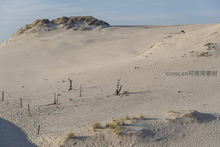 广袤沙丘上枯树与围栏勾勒荒凉之美