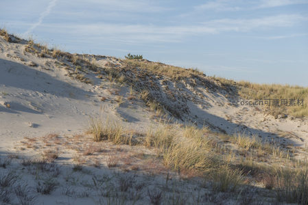 沙丘草甸在阳光下静谧延展