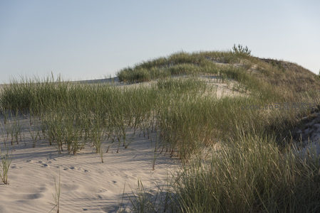 沙丘草甸静谧风光