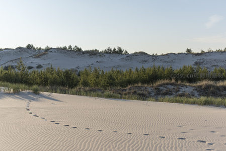 足迹蜿蜒沙丘间