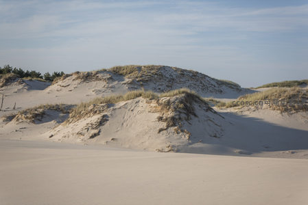 连绵沙丘与草甸，大自然的温柔曲线