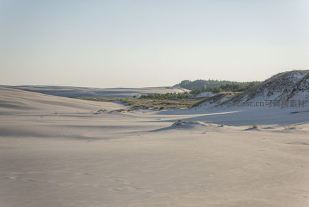 广阔沙原远眺，绿洲森林隐现天际