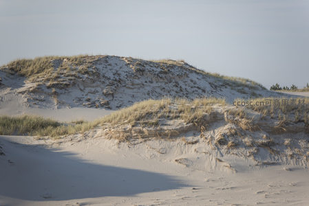 沙丘草坡，光影交织的大地艺术