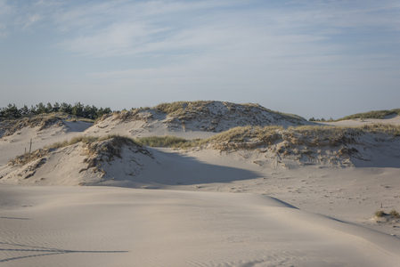 沙丘与草甸交织的宁静海岸风光