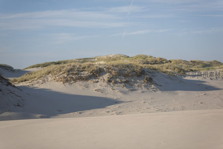 风蚀沙丘上的野草随风轻舞