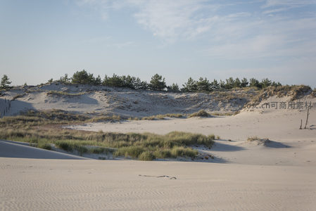 沙丘绿树映蓝天