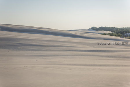 沙丘曲线如波浪般柔和起伏