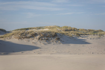 沙丘起伏，草浪随风摇曳
