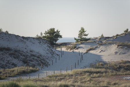 通往海边的沙丘小径