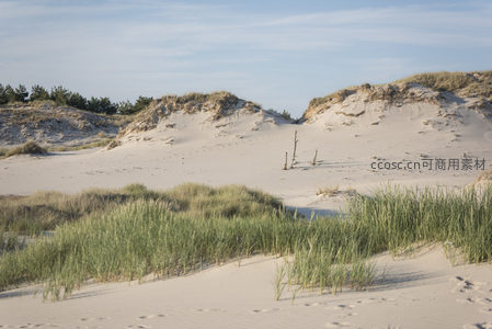 沙丘与绿草交织的海岸风光