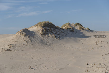 被植被覆盖的沙丘在阳光下闪耀