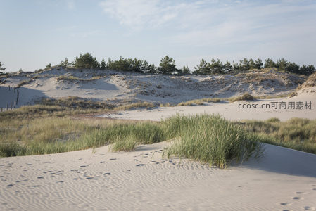 沙丘绿草映蓝天，自然风光无限好