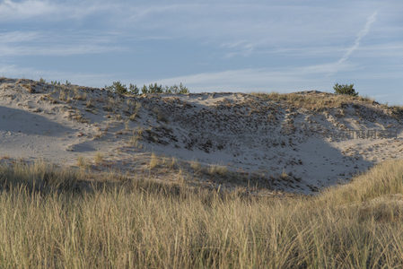 沙丘斜坡绿植稀疏，风蚀痕迹清晰可见