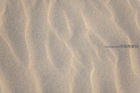 细沙波纹如水纹，微距特写展现自然肌理