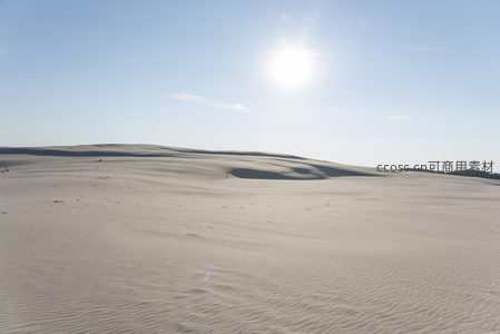 阳光下的广阔沙丘波纹地貌