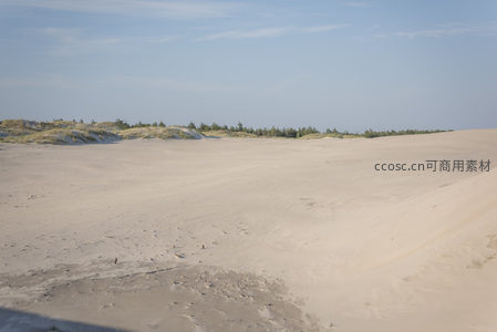 沙丘边缘绿植点缀的辽阔沙海