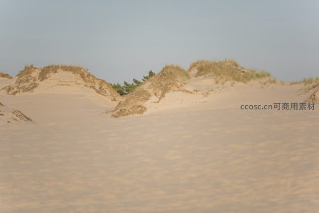 沙丘草甸交织的海岸地貌
