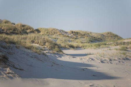 绿草覆盖的沙丘小径通向远方