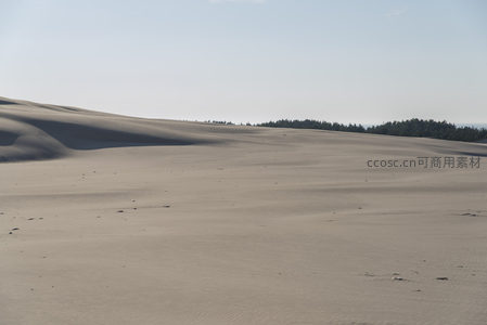 连绵沙丘与远方森林