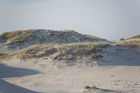 草甸沙丘的层次之美