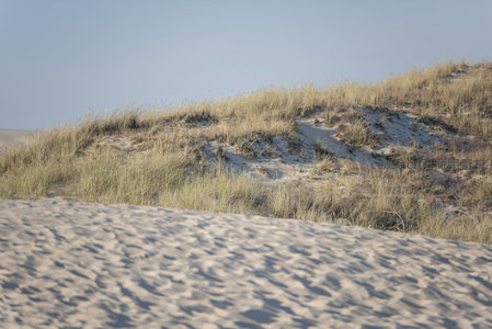 沙丘坡面与草丛交织的自然画卷