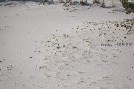 细腻沙纹与零星足迹