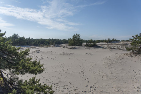 松林环抱沙海，足迹点缀寂寥天地