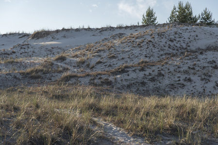 沙丘草甸上的蜿蜒小径